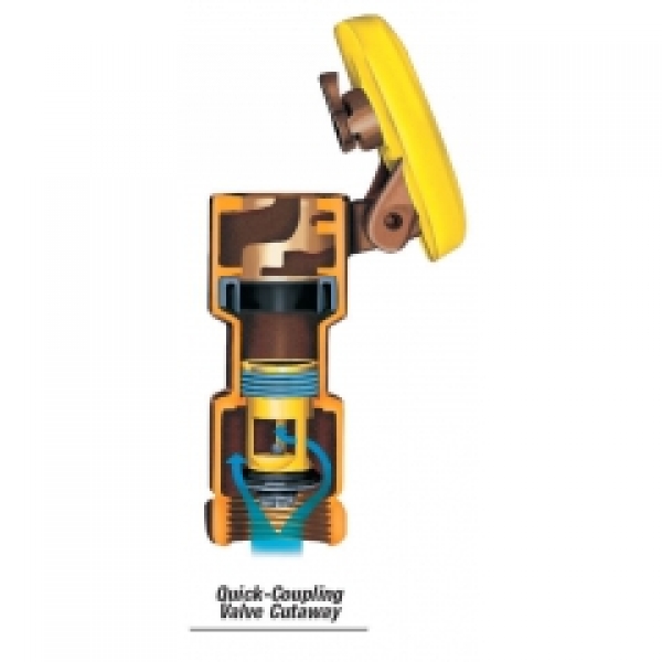 Schnellkupplungsventil aus Gussbronze mit 1" Innengewinde - Typ 5LRC